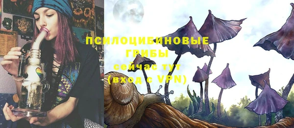 дурь Алзамай