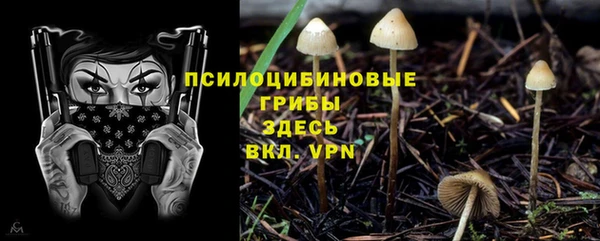 MDMA Аркадак