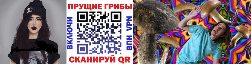 Галлюциногенные грибы Cubensis  наркошоп  Радужный 